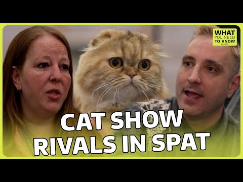Claws out: the cat shows spat that’s costing customers | What You Need To Know | ITV News