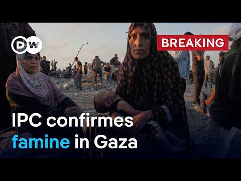UN-backed IPC officially declares famine in Gaza City | DW News