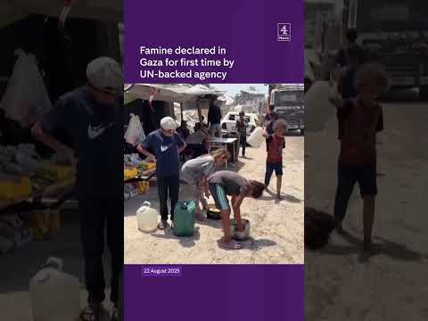 Gaza famine declared by UN backed agency
