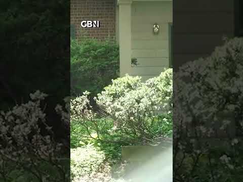 Former Trump advisers home and office RAIDED by FBI