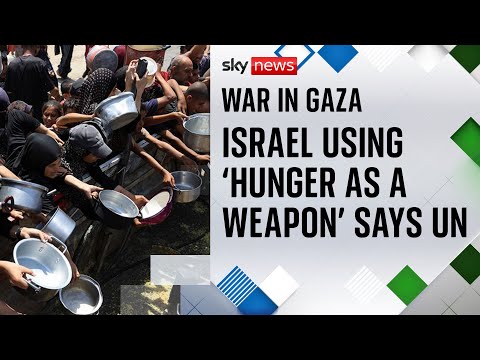 UN accuses Israel of using hunger as a weapon as famine declared in Gaza City
