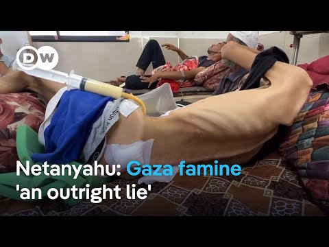 Pressure on Israel grows as Gaza offensive pushes on amid famine | DW News