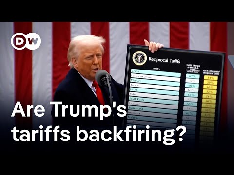 What the world got wrong about tariffs | DW Business