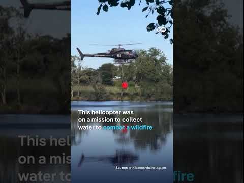 Helicopter in France crashes into water | DW News