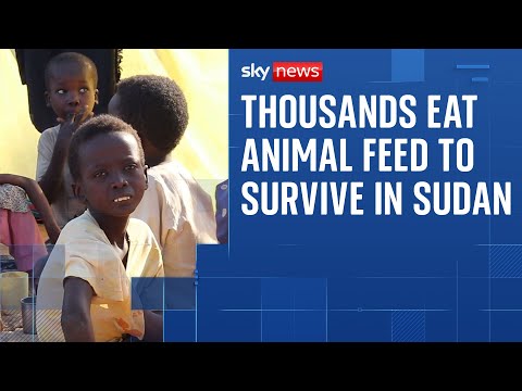 Besieged Sudanese city of one million people is being starved to death