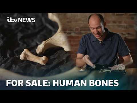 Inside the growing trade in human remains | ITV News