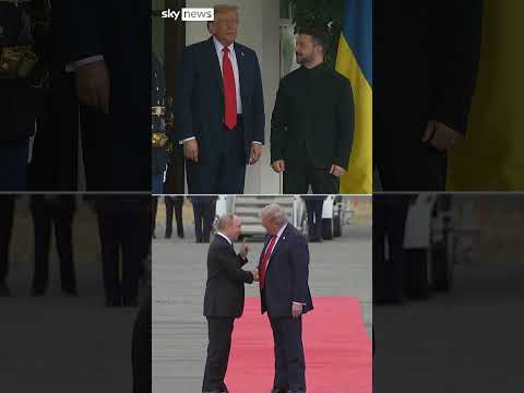 What happened to Putin and peace?