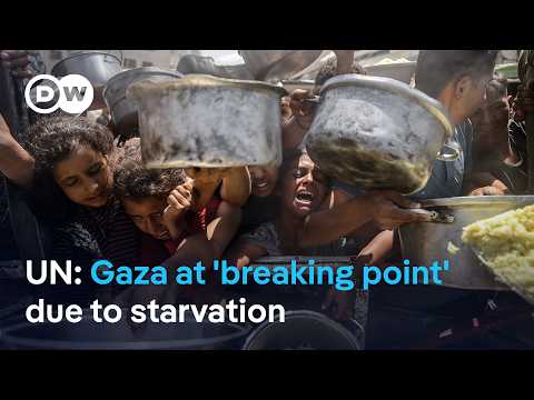 Is Israel weaponizing humanitarian aid in Gaza? | DW News