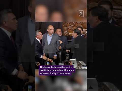 Politicians fight in Mexican Senate
