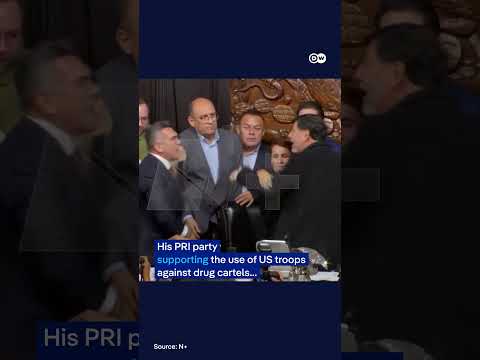 Mexican senators fight in chamber | DW News