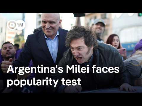 Have President Milei’s austerity policies been a success or failure? | DW News
