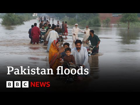 Thousands evacuated as ‘exceptionally high’ flooding devastates parts of Pakistan | BBC News