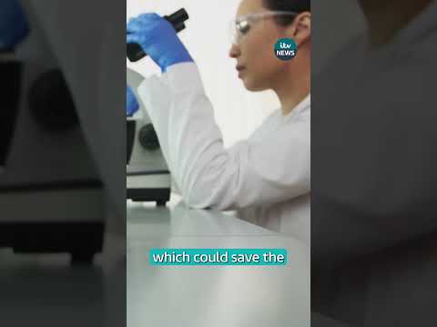 Gonorrhoea vaccines now offered in sexual health clinics across England in world-first | ITV News