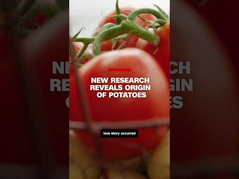 New research reveals origin of potatoes