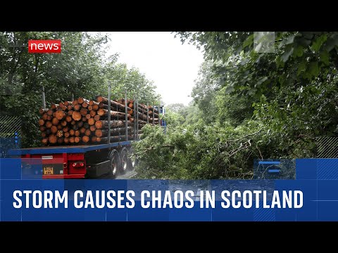 Storm Floris: Roofs flying off, mass rail delays and thousands without power