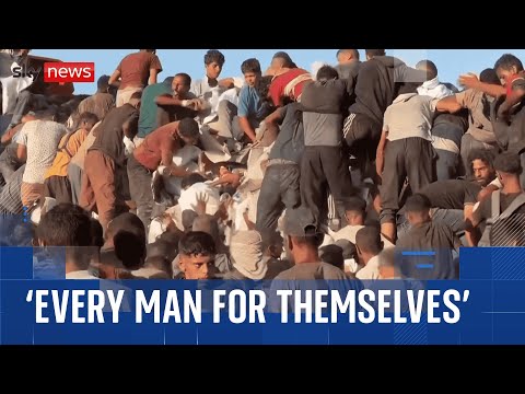 War in Gaza: ‘No-one has mercy’ in the ‘desperate hustle for food’