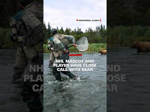 NHL mascot and player have close call with bear
