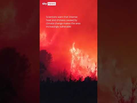 Wildfire destroys area the size of Paris in South of France