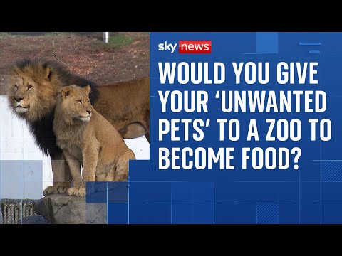 The Zoo where people can donate their ‘unwanted pets’ to become ‘food for predators’