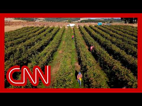 They once picked America’s fruit. Now they’re too afraid to go outside