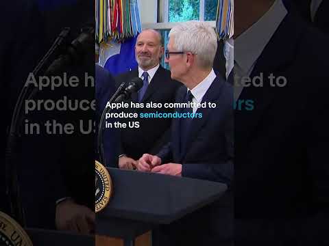 Apple’s Tim Cook gifts 24-karat glass and gold plaque to Donald Trump | DW News