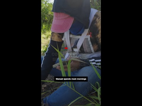 Coded Messages Spread on Apps Ahead of ICE Raids