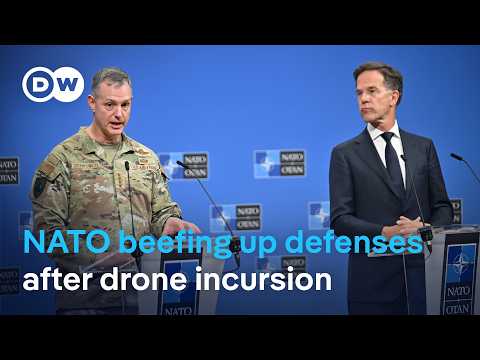 How does NATO plan to reinforce its eastern flank? | DW News