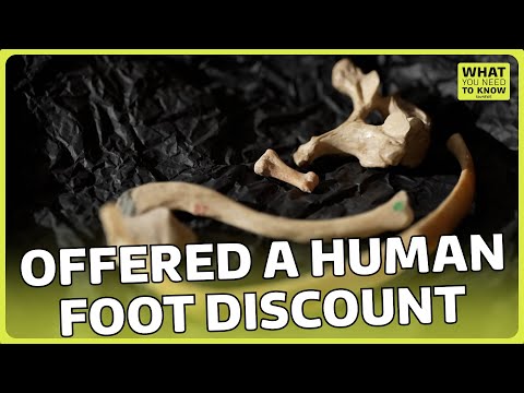 How selling skulls, bones and human skin is not illegal and making millions | ITV News