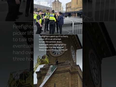 Protester clutching dog climbs King’s Cross clock tower