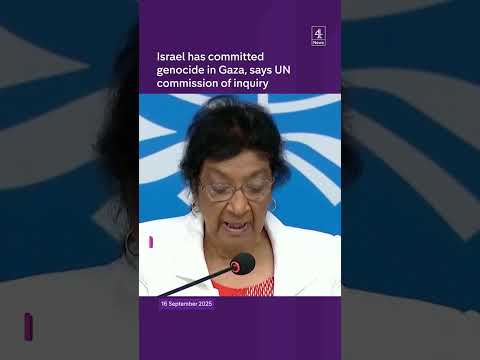 Israel committed genocide in Gaza – UN Commission