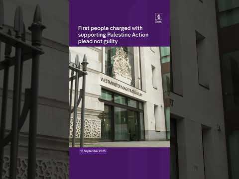 Palestine Action supporters plead not guilty