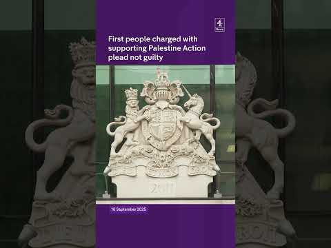 Palestine Action supporters plead not guilty