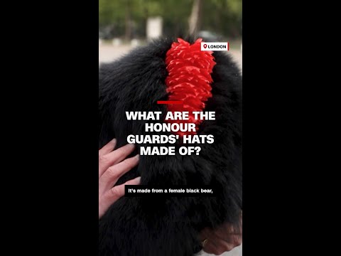 What are the honour guards’ hats made of?