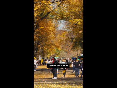 Fall’s first freeze isn’t arriving on schedule for most of the US. Here’s why