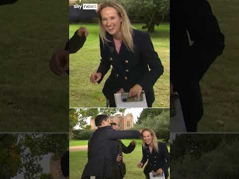 Dominic removes bug out of Sophy’s hair