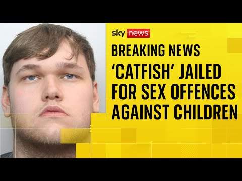 ‘Catfish’ who posed as teenager jailed for sex offences against dozens of children