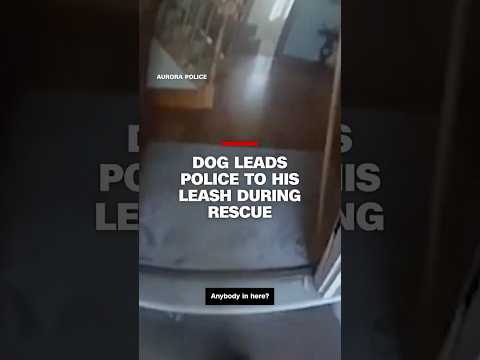 Dog leads police to his leash during rescue