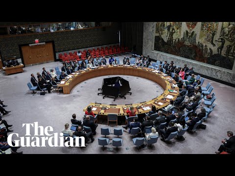 UN: Security Council Threats to International Security – watch live