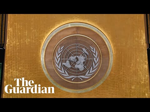 World leaders meet on two-state solution between Israel and Palestine – watch live
