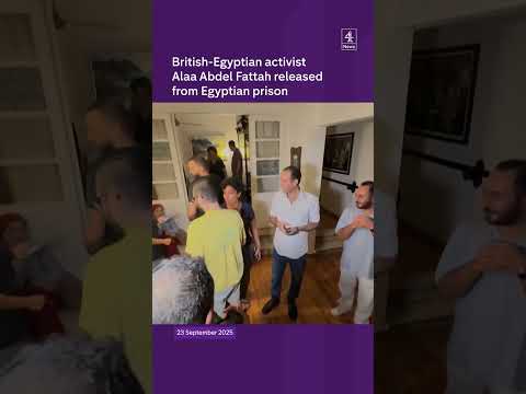 Alaa Abdel Fattah freed after pardon
