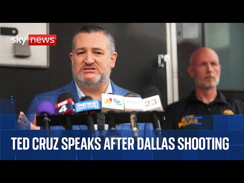 ‘Your political opponents are not Nazis’ – Ted Cruz speaks after Dallas immigration centre shooting