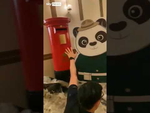Moment hotel doors smash in super typhoon