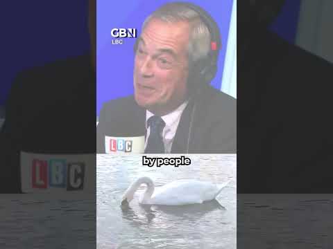 Nigel Farage claims migrants are eating swans in the UK