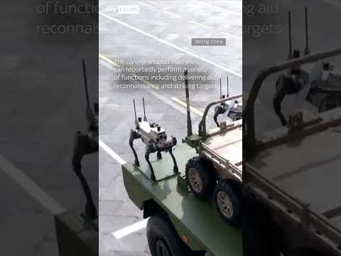 Robotic wolves spotted in China parade