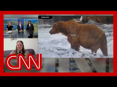 Need a pick-me-up? Fat Bear Week 2025 has you covered