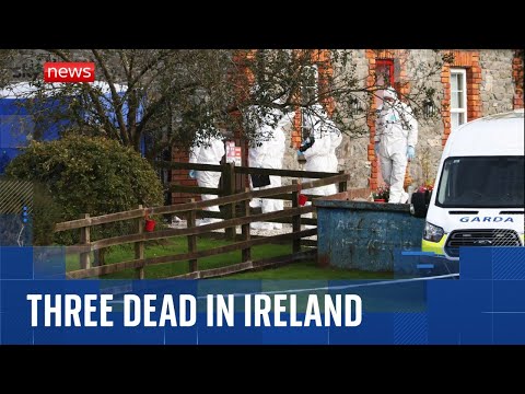 Three found dead in home in Ireland – as man in his 30s arrested