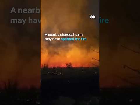 Etosha National Park now 1/3 destroyed by wildfires | DW News