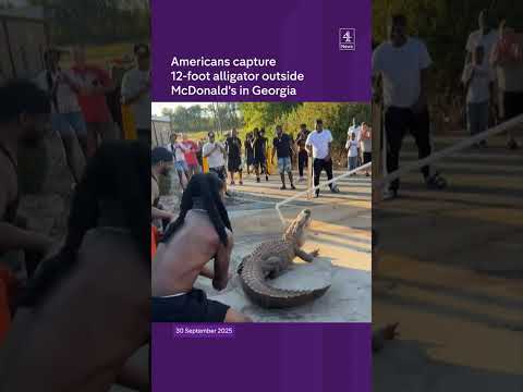 Americans capture 12-foot alligator outside McDonald’s in Georgia