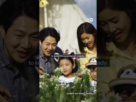 South Korea’s baby boom bonus: Can cash fix the world’s lowest birthrate? | DW News