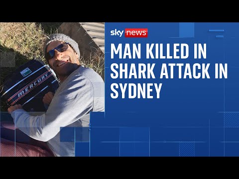 Man killed in shark attack in Australia
